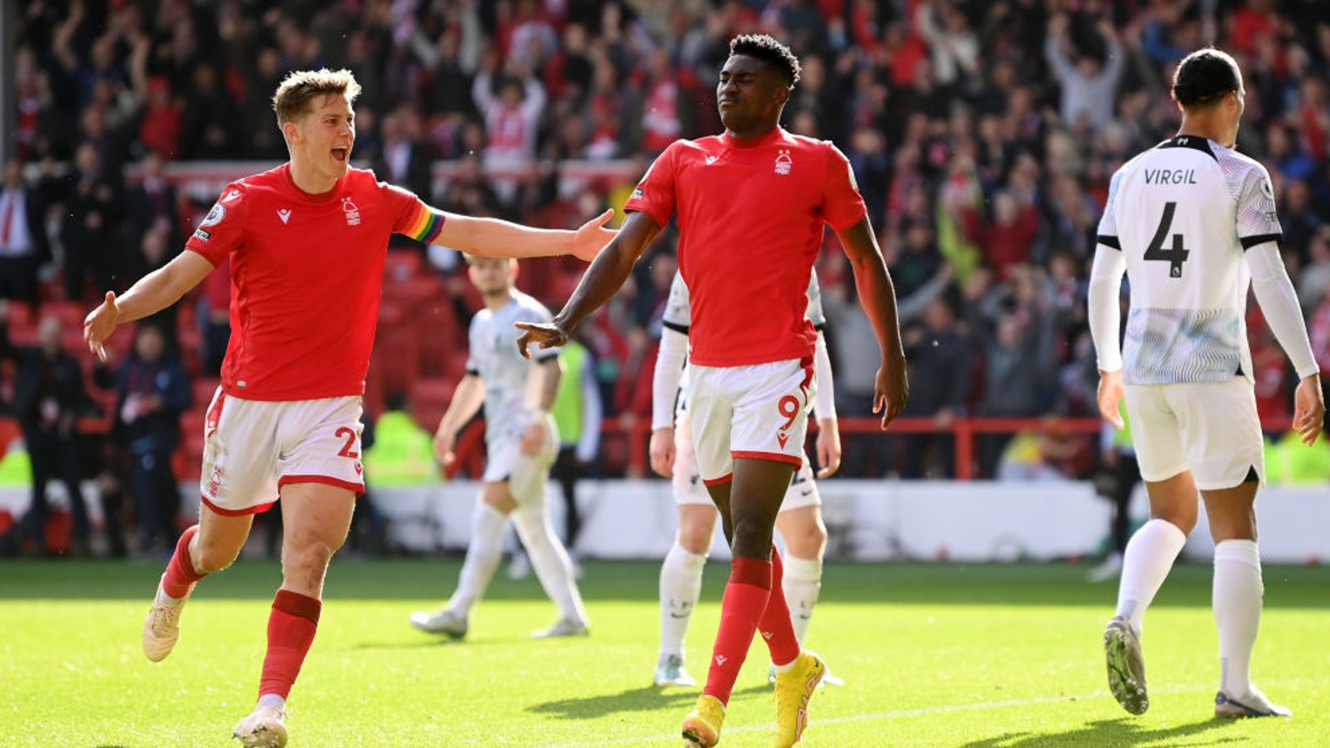 这不仅展示 这不仅展示